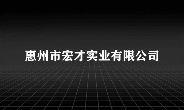 惠州市宏才实业有限公司