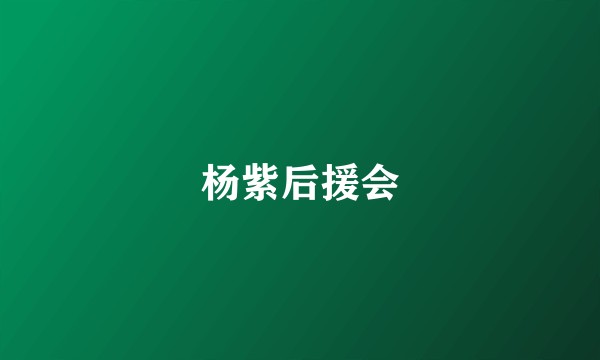杨紫后援会