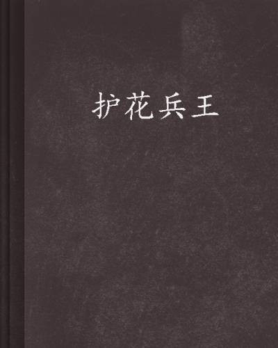 护花兵王（军用刺刀作品，看书网）