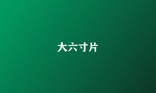 大六寸片