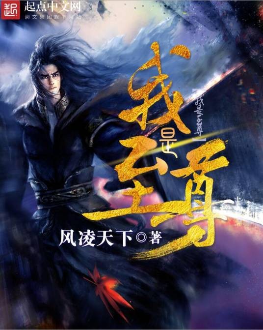 我是至尊（风凌天下创作的玄幻小说）