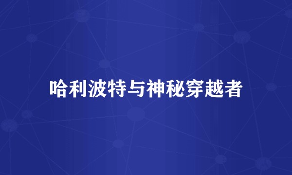 哈利波特与神秘穿越者