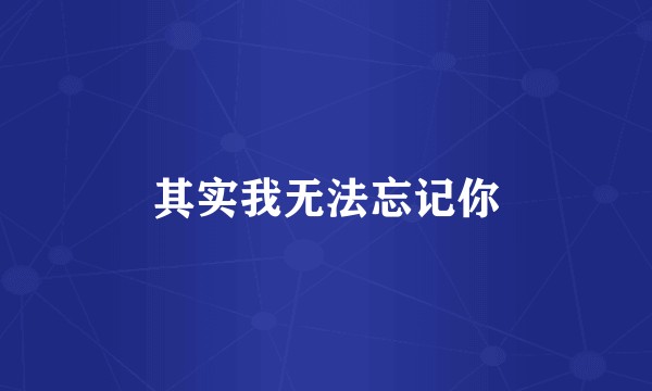 其实我无法忘记你