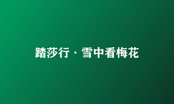 踏莎行·雪中看梅花