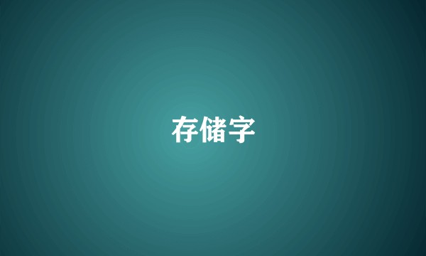 存储字
