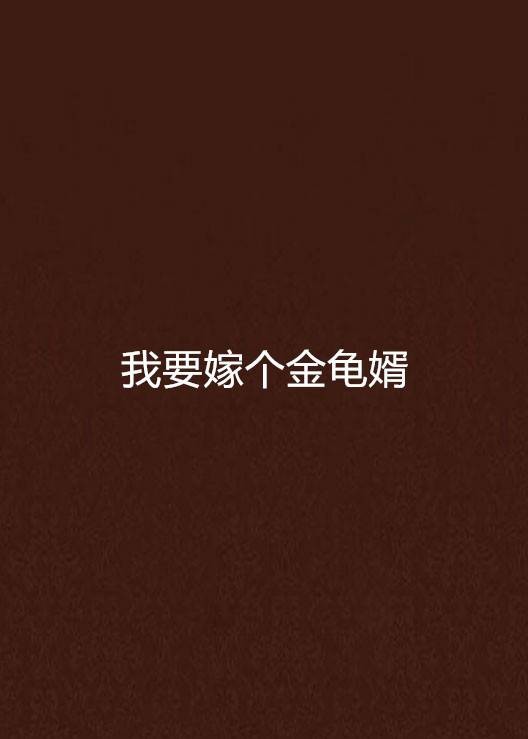我要嫁个金龟婿