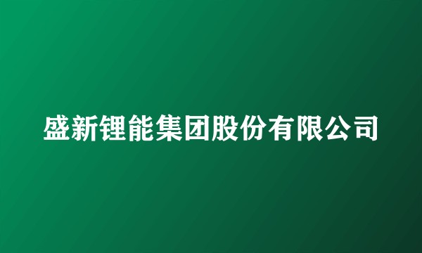 盛新锂能集团股份有限公司