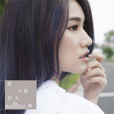 打火机（赵大格演唱歌曲）