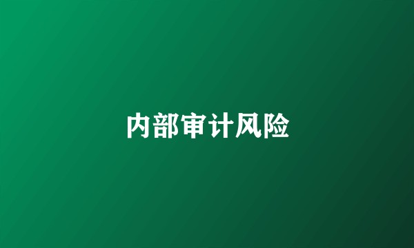 内部审计风险