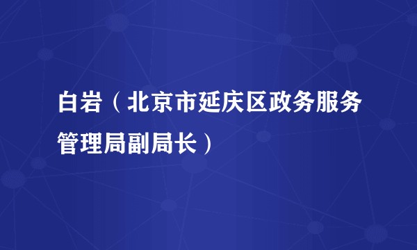 白岩(北京市延庆区政务服务管理局副局长)