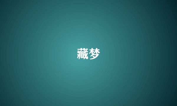 藏梦