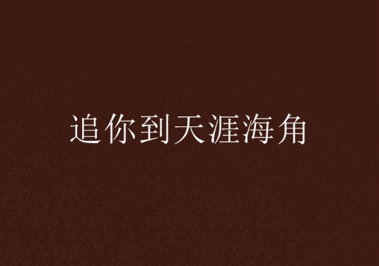 追你到天涯海角（小说）
