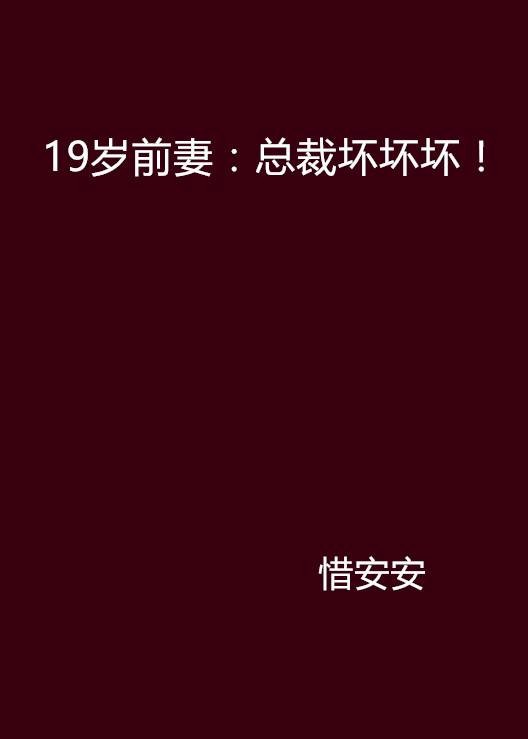 19岁前妻：总裁坏坏坏！