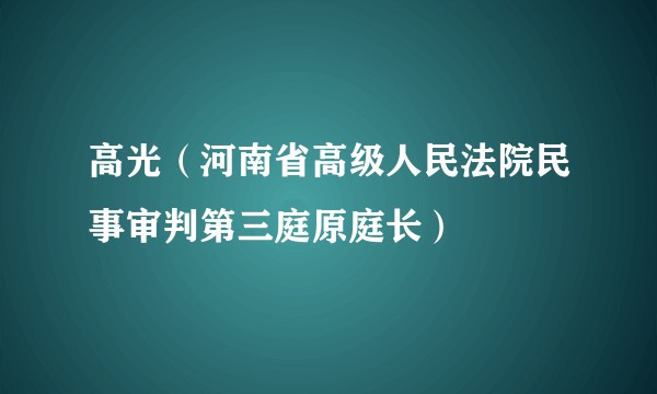 高光（河南省高级人民法院民事审判第三庭原庭长）