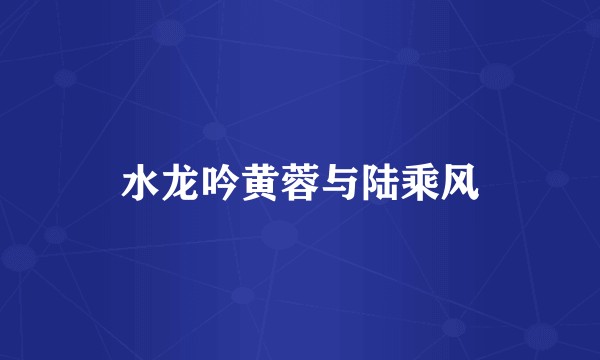 水龙吟黄蓉与陆乘风
