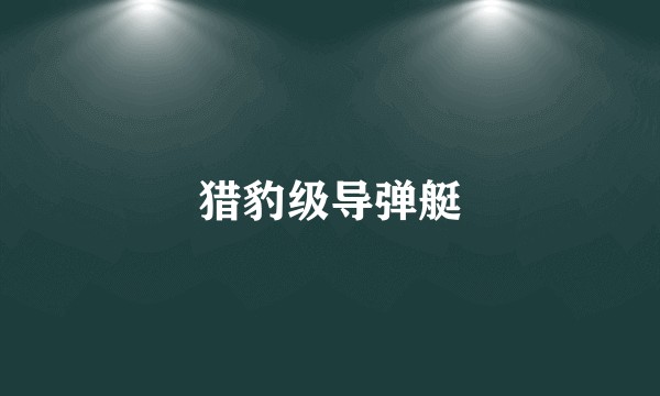猎豹级导弹艇