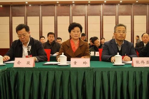 童玲(安徽省委党校副校长)