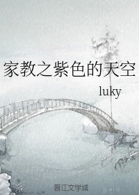 家教之紫色的天空
