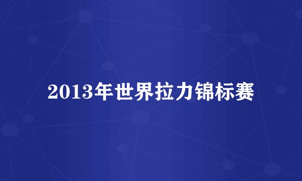 2013年世界拉力锦标赛