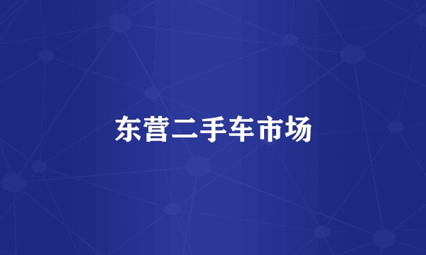东营二手车市场