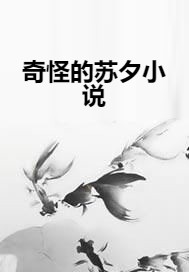 奇怪的苏夕小说