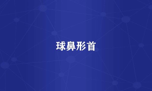 球鼻形首