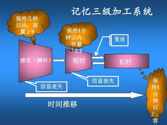 三种记忆系统