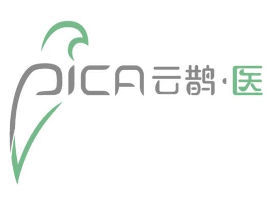 云鹊医疗科技（上海）有限公司