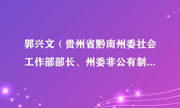 郭兴文（贵州省黔南州委社会工作部部长、州委非公有制经济组织和社会组织工作委员会书记）