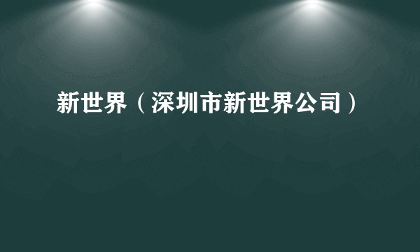 新世界（深圳市新世界公司）
