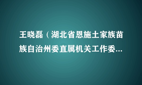 王晓磊（湖北省恩施土家族苗族自治州委直属机关工作委员会办公室主任、一级主任科员）