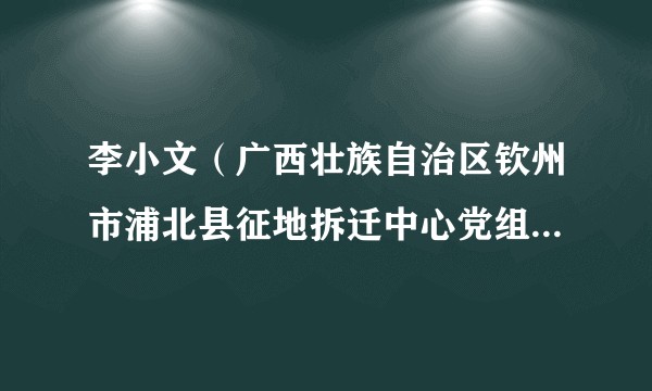 李小文（广西壮族自治区钦州市浦北县征地拆迁中心党组成员、副主任）