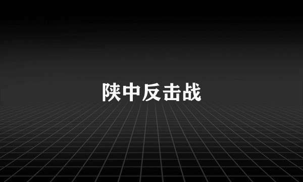 陕中反击战