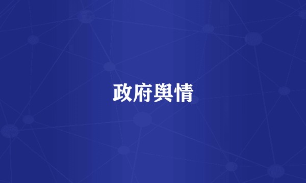 政府舆情