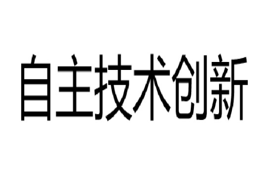 自主技术创新