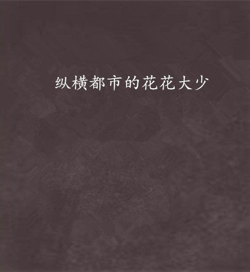 纵横都市的花花大少