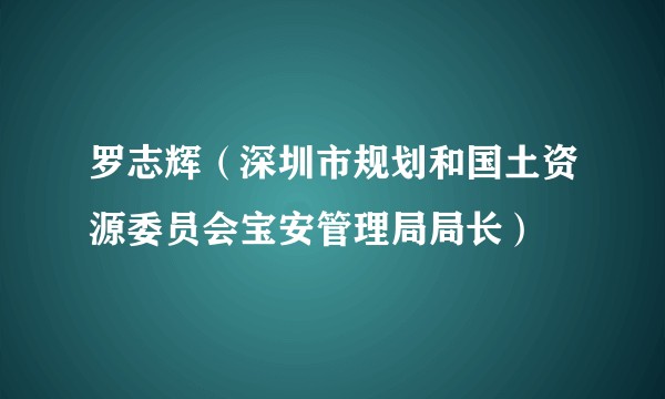 罗志辉（深圳市规划和国土资源委员会宝安管理局局长）