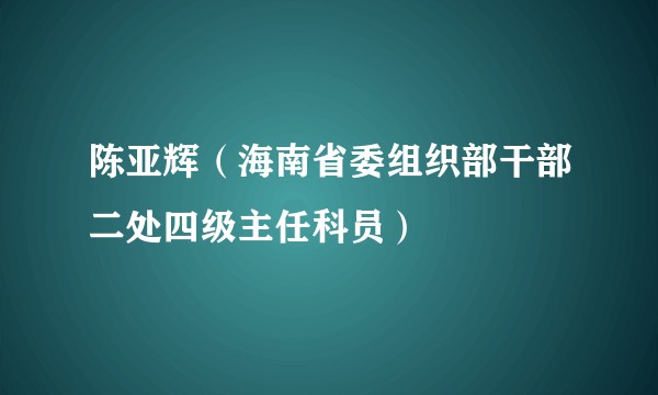 陈亚辉（海南省委组织部干部二处四级主任科员）