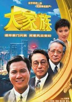 大家族(1991年香港TVB电视剧)
