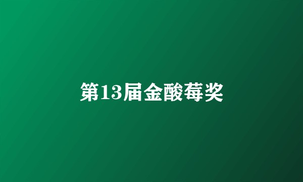 第13届金酸莓奖