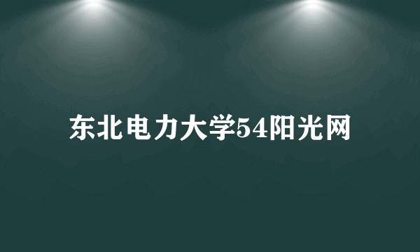 东北电力大学54阳光网