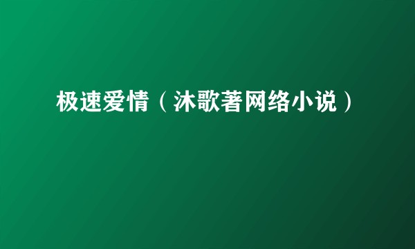 极速爱情（沐歌著网络小说）
