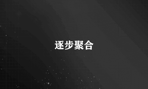 逐步聚合