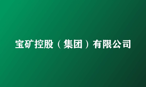 宝矿控股（集团）有限公司