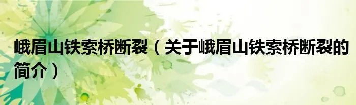 峨眉山铁索桥断裂（关于峨眉山铁索桥断裂的简介）