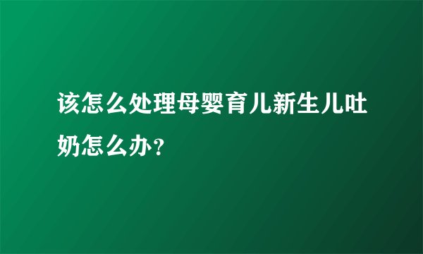 该怎么处理母婴育儿新生儿吐奶怎么办？