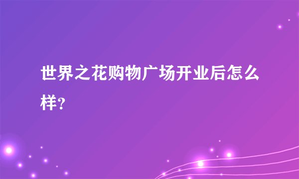 世界之花购物广场开业后怎么样?