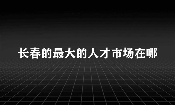 长春的最大的人才市场在哪