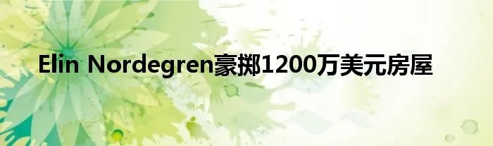 Elin Nordegren豪掷1200万美元房屋