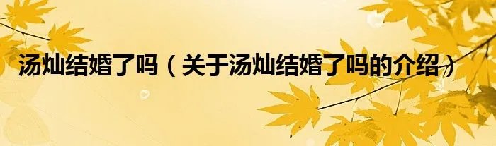 汤灿结婚了吗(关于汤灿结婚了吗的介绍)